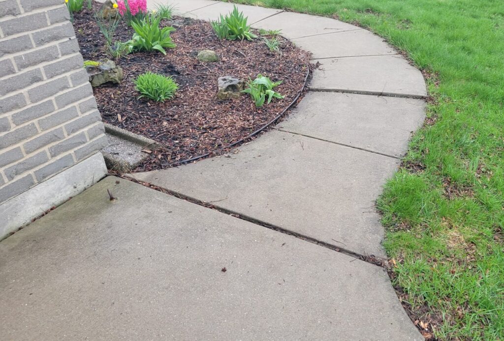 Settled concrete walkway before raising and levelling
